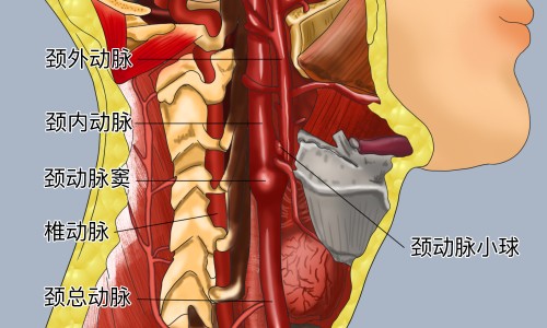 小儿智力糖浆图片-小二智力糖浆有没有副作用网 - 网站提供小儿智力糖浆功能主治副作用小常识、喝小儿智力糖浆有副作用吗