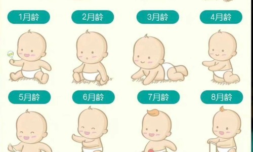 小儿智力糖浆图片-小二智力糖浆有没有副作用网 - 网站提供小儿智力糖浆功能主治副作用小常识、喝小儿智力糖浆有副作用吗